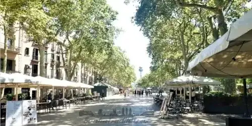 Las Ramblas Boulevard with Living Statues and flower stands