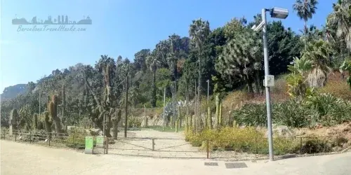 Montjuïc Mossen Costa i Llobera Cactus Garden near Miramar