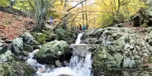 Montseny Valldrau to Sant Segimon via waterfalls