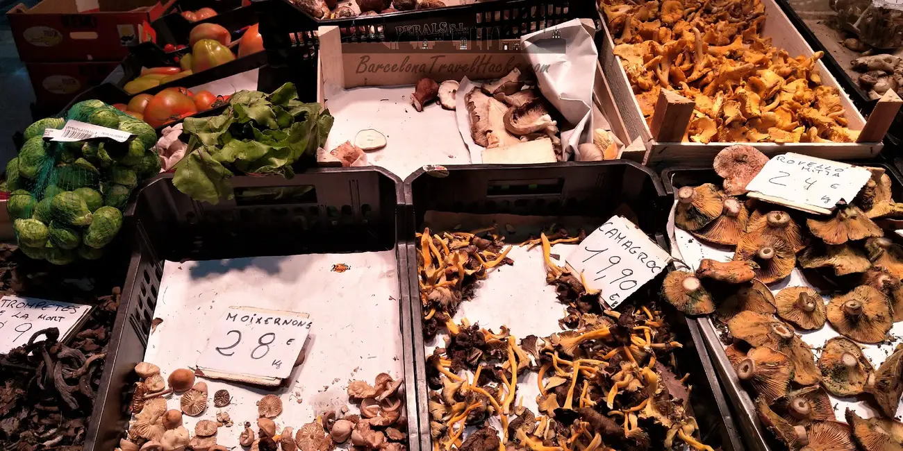 Edible mushrooms at Sants Food Market